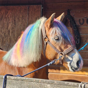 IJzersterk Paardenwerk